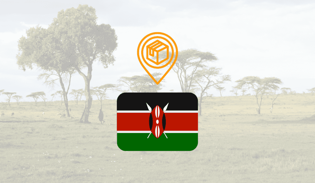 Does Amazon Ship to Kenya? (How To, Fees, and More) 2024